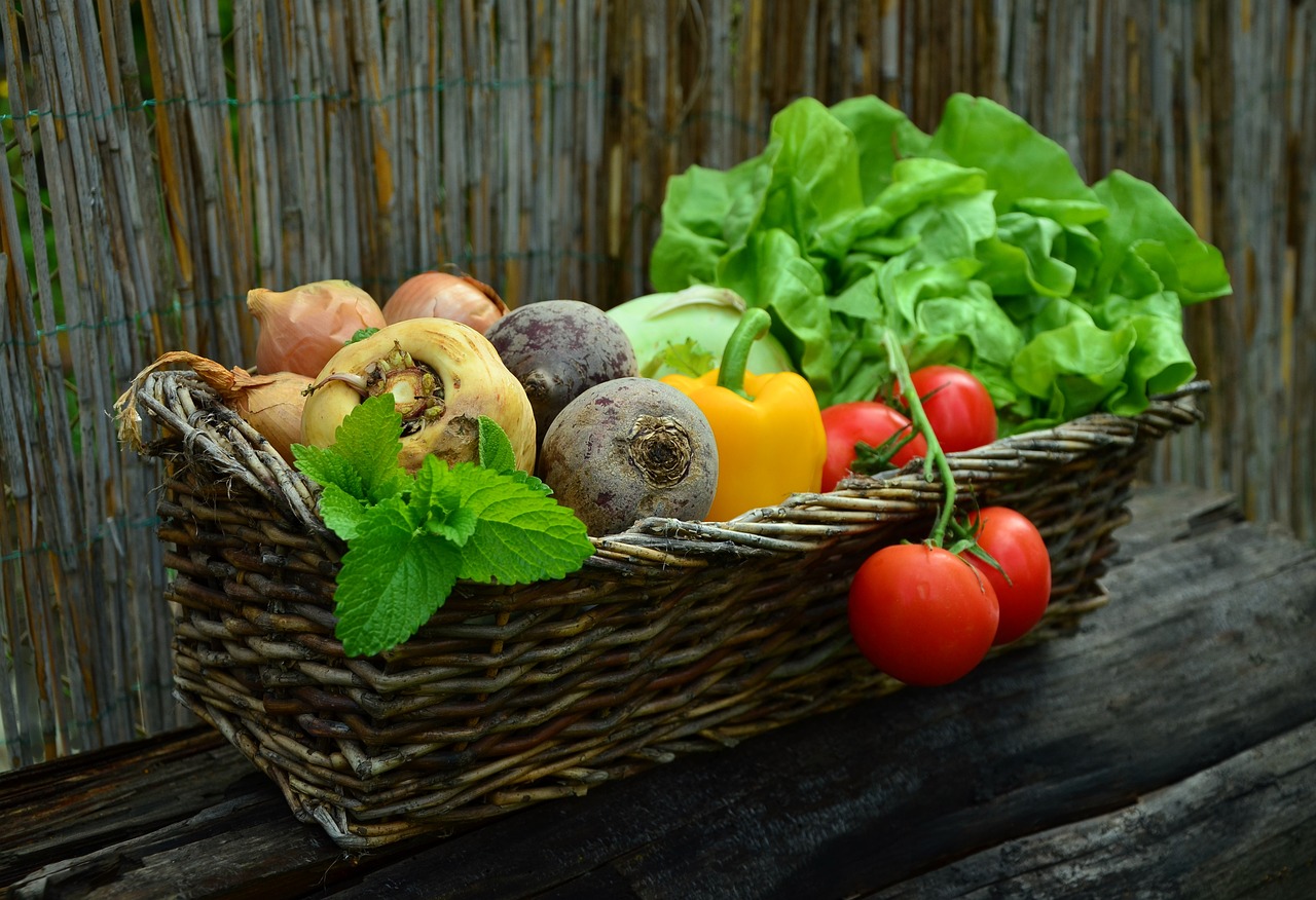 Le droit à l'alimentation : les enjeux de la sécurité alimentaire et de la souveraineté alimentaire