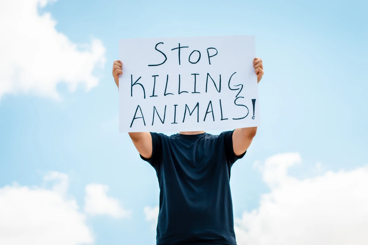 Le Droit des animaux : une question de justice et d'éthique