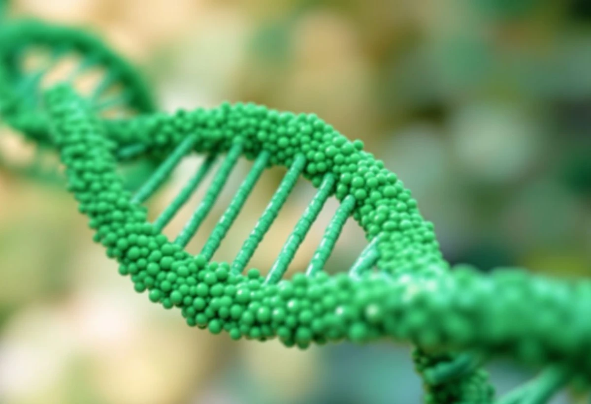 La régulation des technologies de CRISPR et l'édition génétique